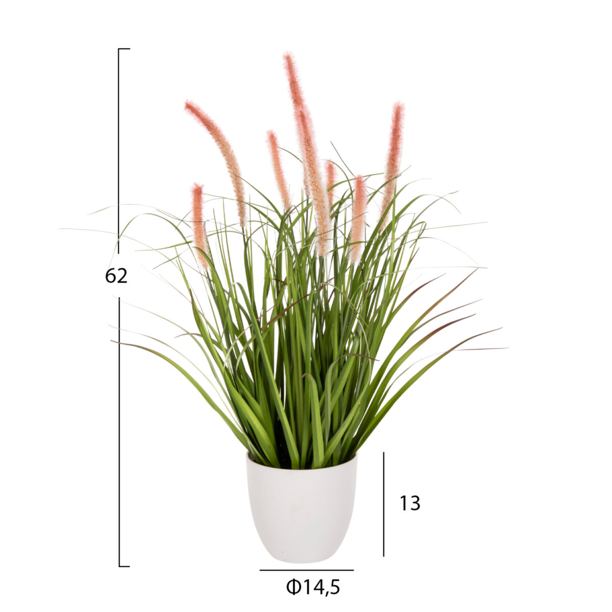 ΔΙΑΚΟΣΜΗΤΙΚΟ ΣΥΝΘΕΤΙΚΟ ΦΥΤΟ HM4029 BRISTLEGRASS ΣΕ ΓΛΑΣΤΡΑ Φ14,5x13-62Yεκ. 2