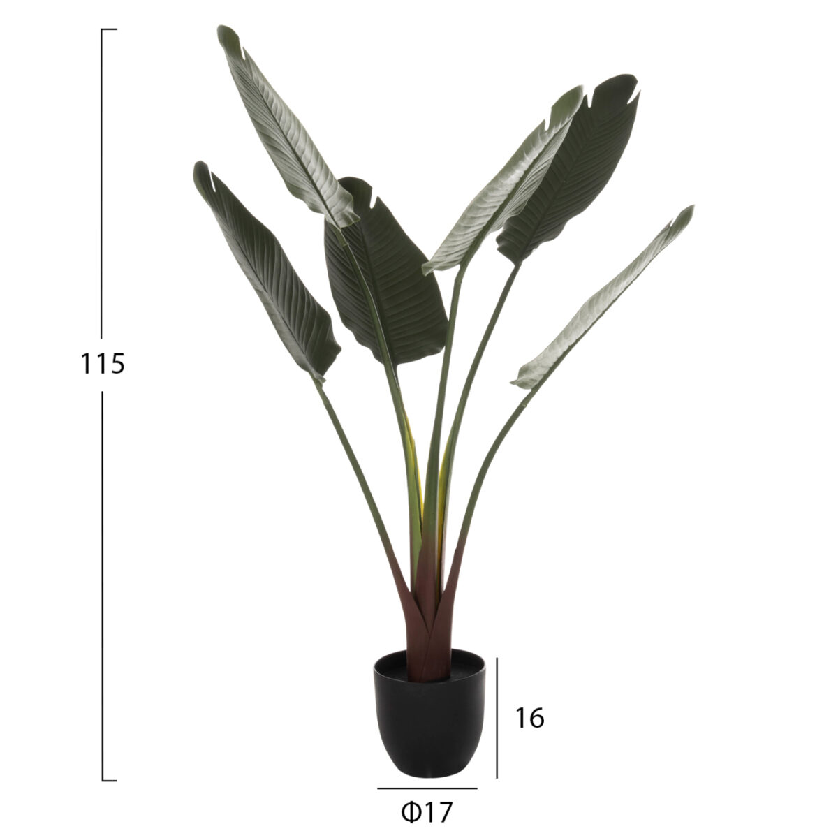 ΔΙΑΚΟΣΜΗΤΙΚΟ ΣΥΝΘΕΤΙΚΟ ΦΥΤΟ HM7969 ΣΤΡΕΛΙΤΣΙΑ ΜΕ ΓΛΑΣΤΡΑ 115Υεκ. 2