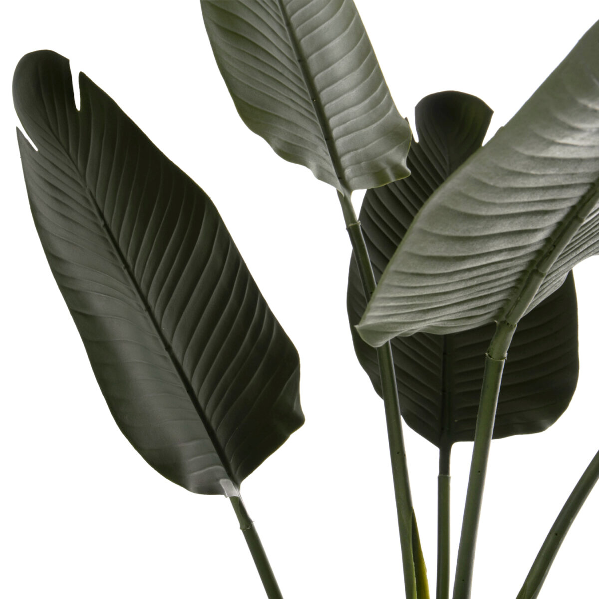 ΔΙΑΚΟΣΜΗΤΙΚΟ ΣΥΝΘΕΤΙΚΟ ΦΥΤΟ HM7969 ΣΤΡΕΛΙΤΣΙΑ ΜΕ ΓΛΑΣΤΡΑ 115Υεκ. 3