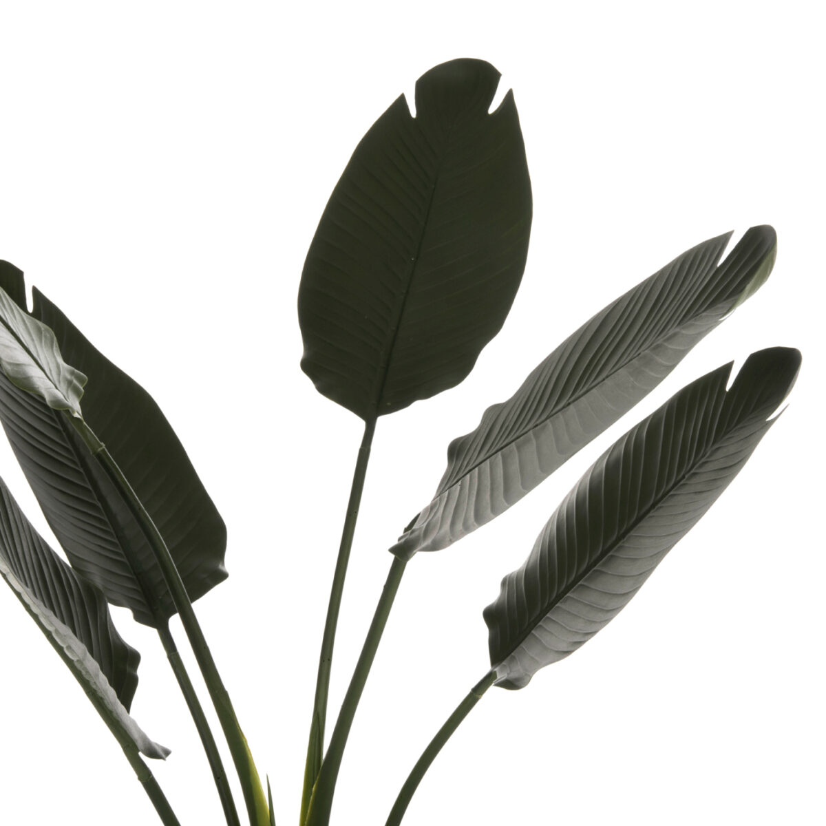 ΔΙΑΚΟΣΜΗΤΙΚΟ ΣΥΝΘΕΤΙΚΟ ΦΥΤΟ HM7969 ΣΤΡΕΛΙΤΣΙΑ ΜΕ ΓΛΑΣΤΡΑ 115Υεκ. 4