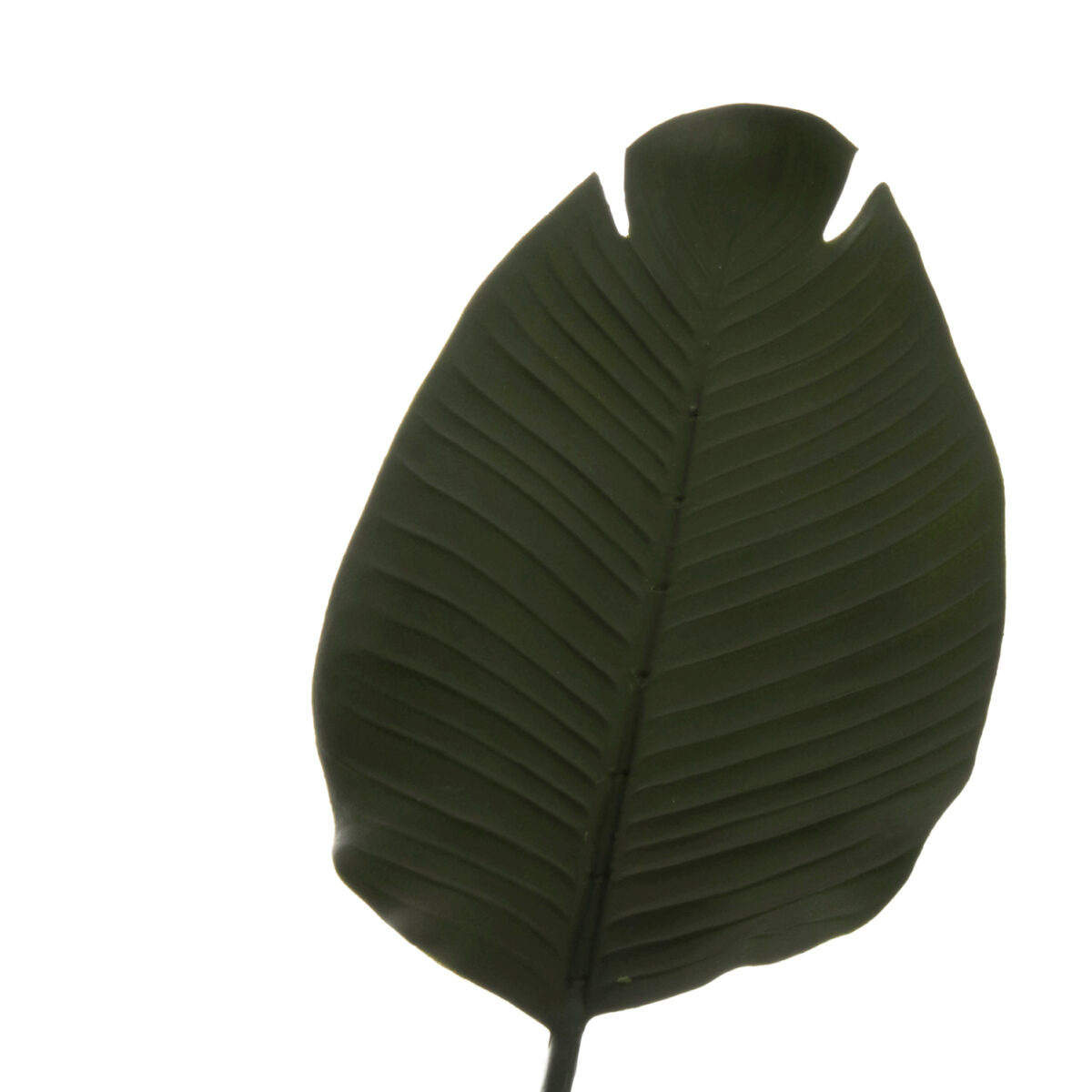 ΔΙΑΚΟΣΜΗΤΙΚΟ ΣΥΝΘΕΤΙΚΟ ΦΥΤΟ HM7969 ΣΤΡΕΛΙΤΣΙΑ ΜΕ ΓΛΑΣΤΡΑ 115Υεκ. 5