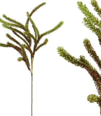 Shoppingmania 26 Shoppingmania 25