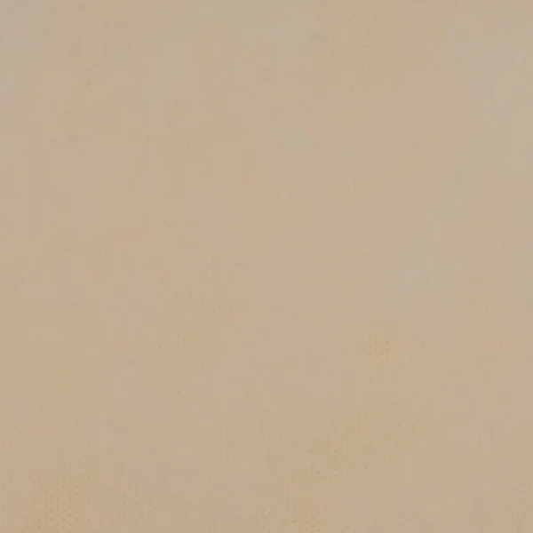 ΡΟΛΟ ΠΑΝΙ ΡΡL (NON WOVEN) ΣΑΜΠΑΝΙ 60cm X 18m