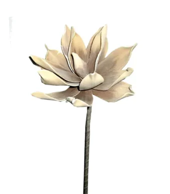 Shoppingmania 24 Shoppingmania 23