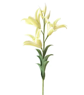 Shoppingmania 40 Shoppingmania 39