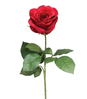 Shoppingmania 32 Shoppingmania 31