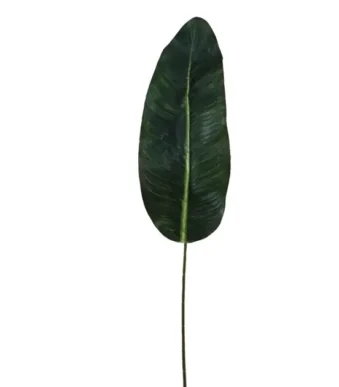 Shoppingmania 34 Shoppingmania 33