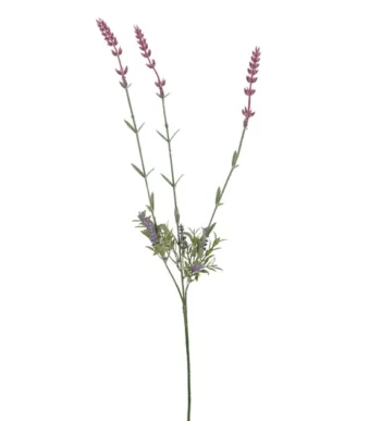 Shoppingmania 34 Shoppingmania 33