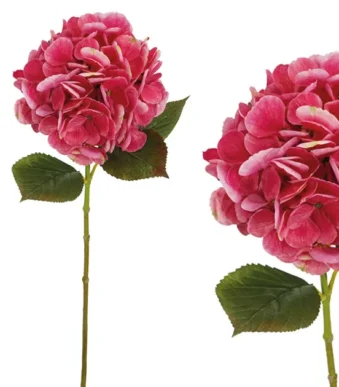 Shoppingmania 30 Shoppingmania 29