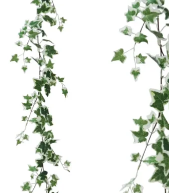 Shoppingmania 34 Shoppingmania 33