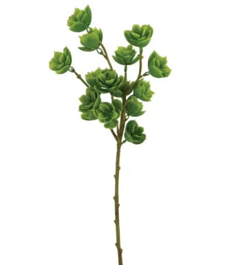 Shoppingmania 28 Shoppingmania 27