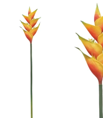 Shoppingmania 36 Shoppingmania 35