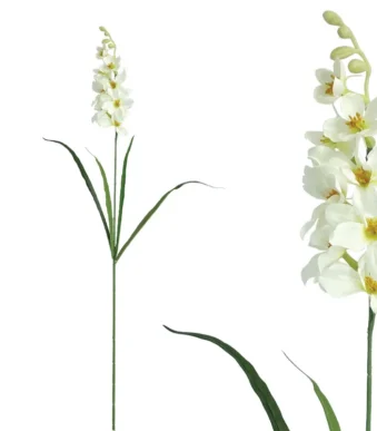 Shoppingmania 30 Shoppingmania 29