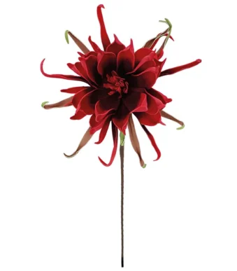 Shoppingmania 36 Shoppingmania 35