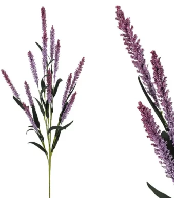 Shoppingmania 62 Shoppingmania 61