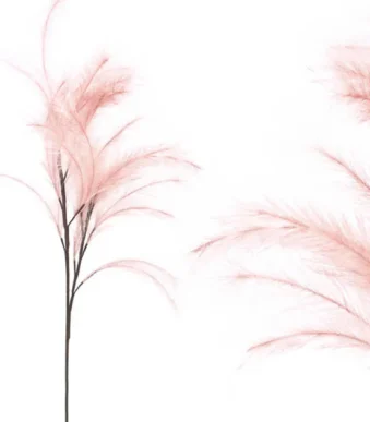 Shoppingmania 34 Shoppingmania 33