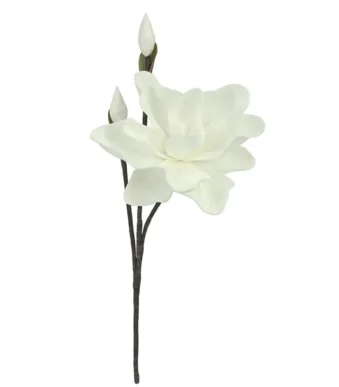 Shoppingmania 40 Shoppingmania 39