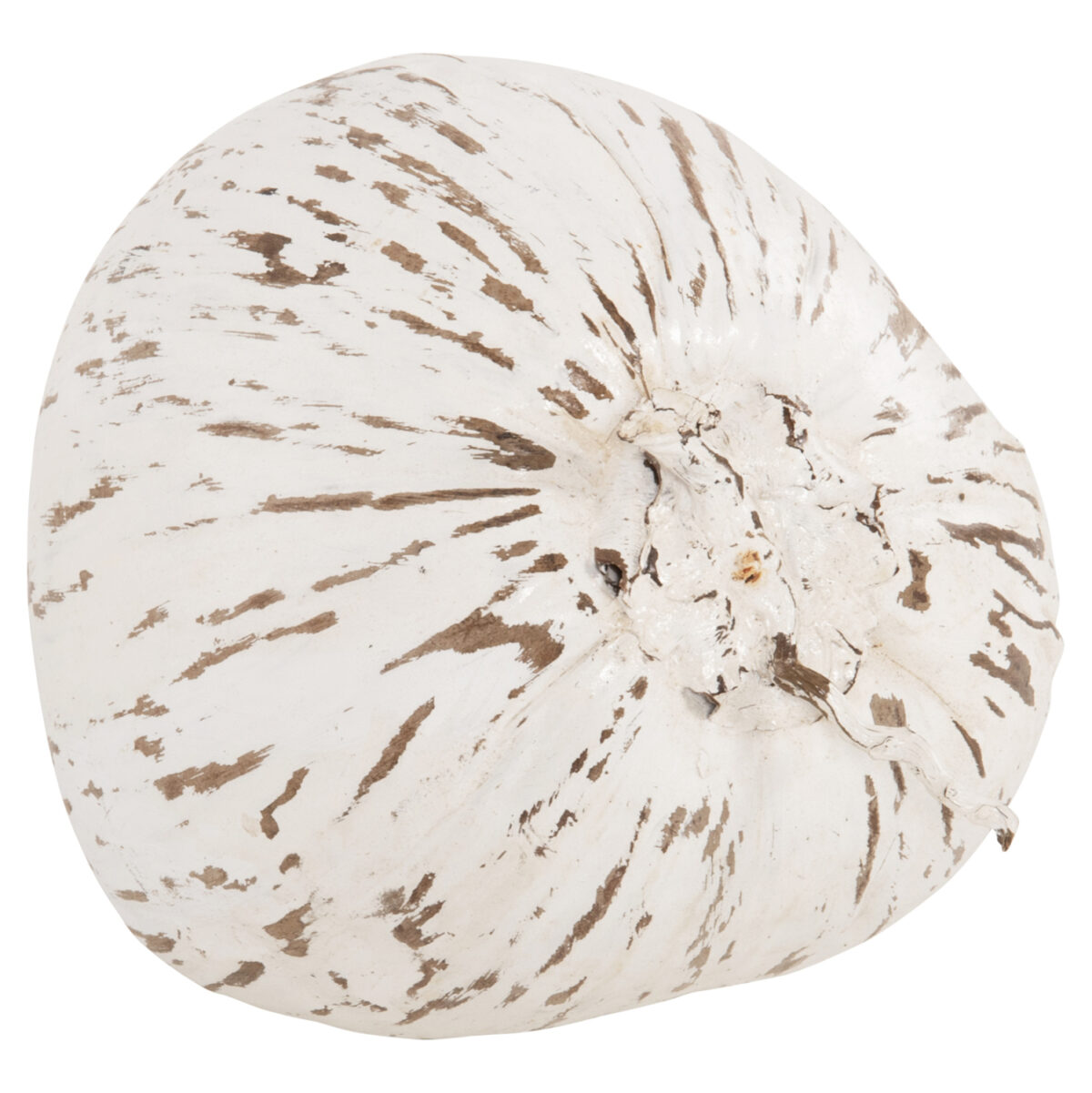 epitrapezio-diakosmitiko-fb9432605-karyd-3 ΕΠΙΤΡΑΠΕΖΙΟ ΔΙΑΚΟΣΜΗΤΙΚΟ HM4326.05 ΚΑΡΥΔΑ ΣΕ ΛΕΥΚΟ ΧΡΩΜΑ 20x20x20Υεκ 4