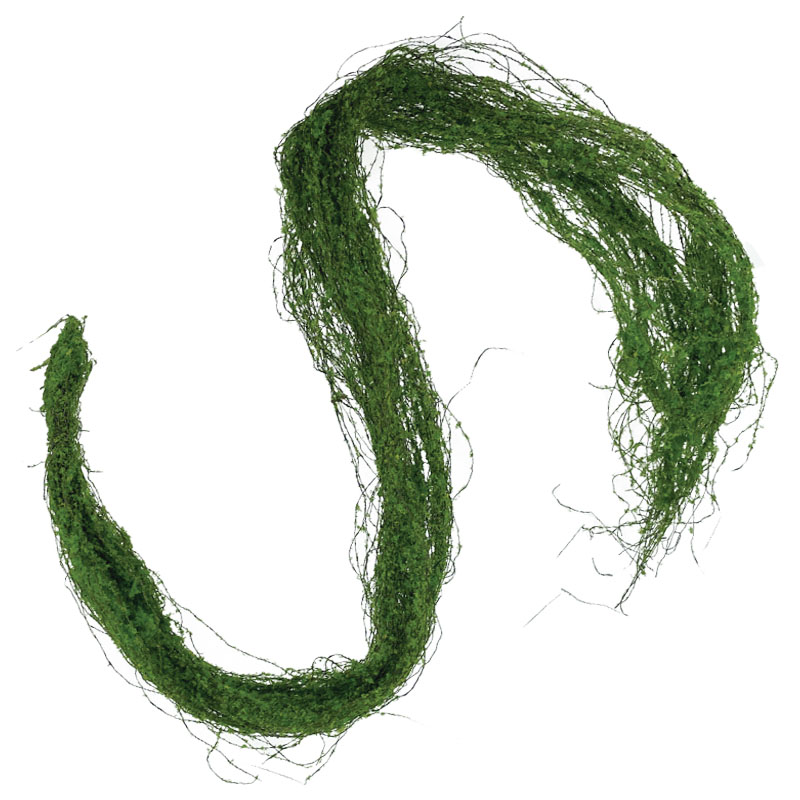 00-10047-1 ΚΡΕΜΑΣΤΗ ΡΙΖΑ ΒΡΥΑ ΣΚΟΥΡΟ ΠΡΑΣΙΝΟ - Υ122cm 24/96KIB 1